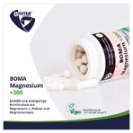 Magnésium +300 60 St