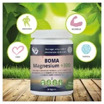Magnésium +300 60 St