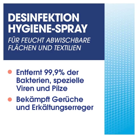 SAGROTAN Hygiëne Spray 500 ml