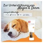 Pha Gastropaste Para Perros 100 ml