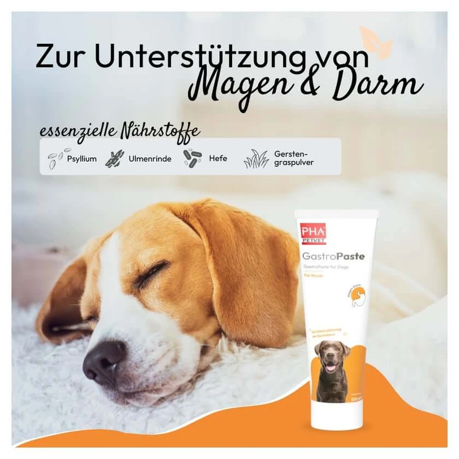 Pha Gastropaste Para Perros 100 ml