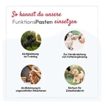 Pha Gastropaste Para Perros 100 ml
