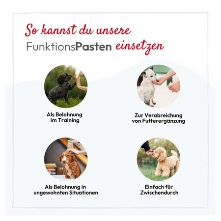 Pha Gastropaste Para Perros 100 ml