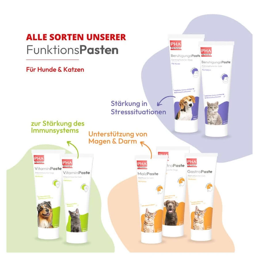 Pha Gastropaste Para Perros 100 ml