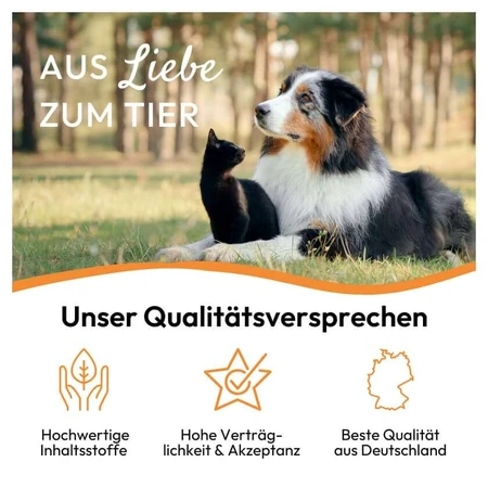Pha Gastropaste Para Perros 100 ml