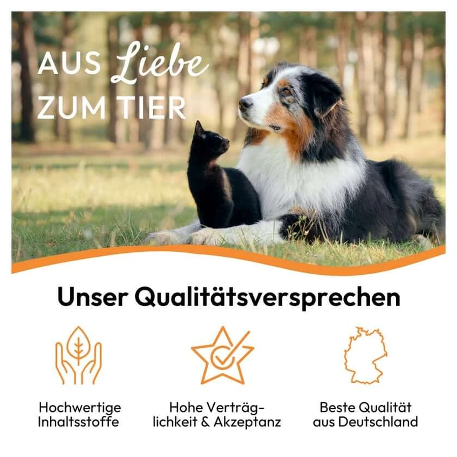 Pha Gastropaste Para Perros 100 ml