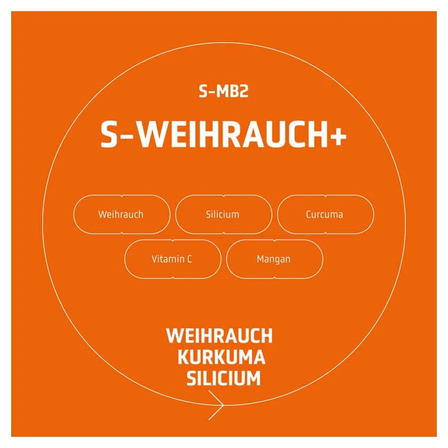 SPLMNT LAB S-WEIHRAUCH+ 60 uds.