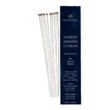 Silbernitrat-Kaliumnitrat-Ätzstäbchen 10x200mm elastisch 10 St