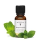 Retterspitz Ontspanningsolie 20 ml
