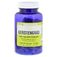 Barley grass 250 mg GPH capsules 120 Capsules