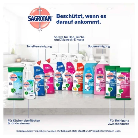 Toallitas higiénicas Sagrotan 60 uds.