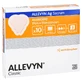 Allevyn Ag Sacrum 17x17 cm Wound dressing 10 pcs.