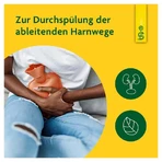 Schoenenberger Pure Natural Medicinal Plant Juice Horsetail 200 ml