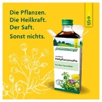 Schoenenberger Pure Natural Medicinal Plant Juice Horsetail 200 ml