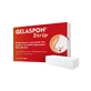 Gelaspon Strip 1x1x4 cm Gelatin sponge 4 pcs