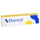 Flaminal Forte Antimicrobieel Enzym Alginaat Verb.tube 40 g