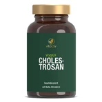 CHOLESTROSAN 60 St
