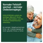 CHOLESTROSAN 60 St