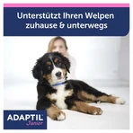ADAPTIL Junior collar 1 pc