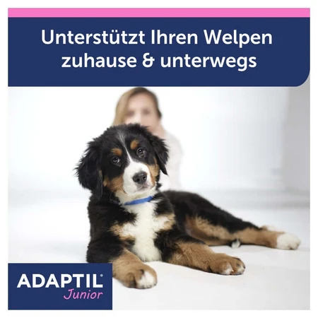 ADAPTIL Junior collar 1 pc