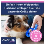 ADAPTIL Junior collar 1 pc