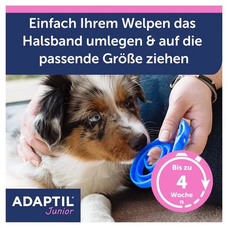 ADAPTIL Junior collar 1 pc