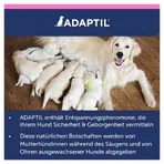 ADAPTIL Junior collar 1 pc