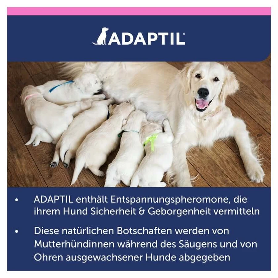 ADAPTIL Junior collar 1 pc