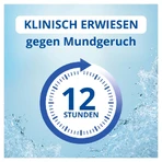 CB12 Mundspülung Dreierpack 3X250 ml