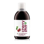 Original Montmorency Sauerkirsch Konzentrat – Cherry PLUS® 500 ml