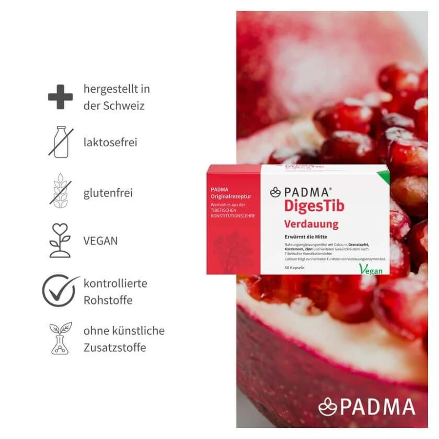 PADMA DigesTib 60 St