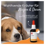 PHA WURM für Hunde und Katzen 50 ml