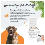 PHA WURM für Hunde und Katzen 50 ml