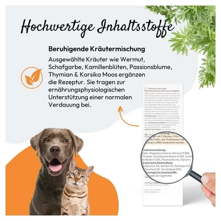 PHA WURM für Hunde und Katzen 50 ml