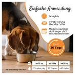 PHA WURM für Hunde und Katzen 50 ml