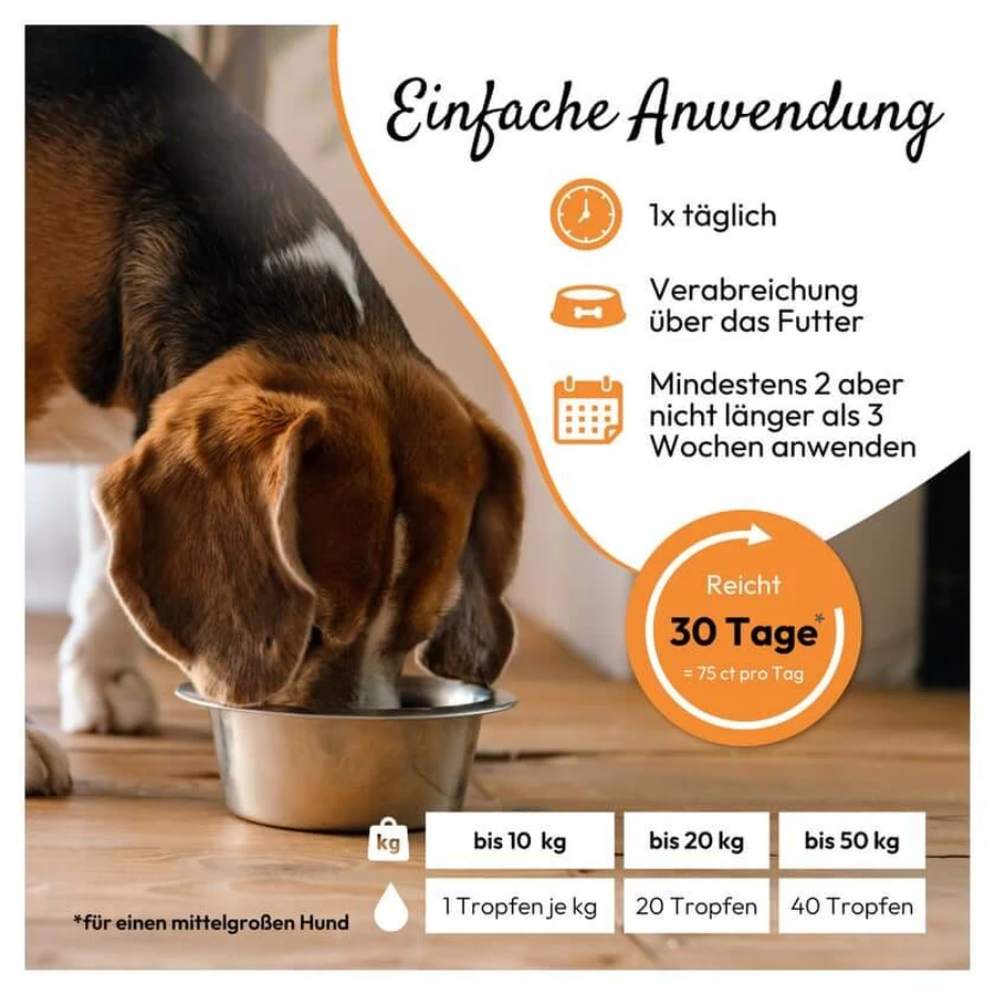 PHA WURM für Hunde und Katzen 50 ml