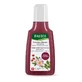 Champú Rausch Color Protection con rosa silvestre, 40 ml
