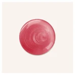 Champú Rausch Color Protection con rosa silvestre, 40 ml