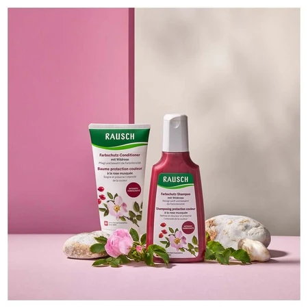 Champú Rausch Color Protection con rosa silvestre, 40 ml