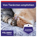 FELIWAY Friends, paquete económico de 3 x 48 ml