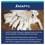 ADAPTIL Calm Startpakket 48 ml