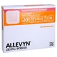 Allevyn Gentle Border 10x10 cm Foam Pads, 10-Pack