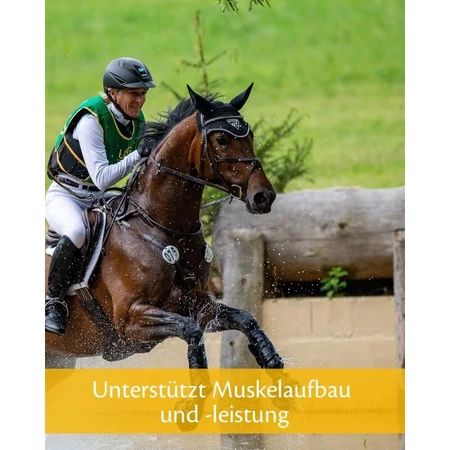 Equality Equistro Myo Power – Ergänzungsfuttermittel für die Muskulatur von Sportpferden, 2,3 kg
