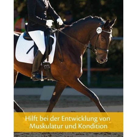 Equality Equistro Myo Power – Ergänzungsfuttermittel für die Muskulatur von Sportpferden, 2,3 kg