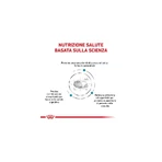 Royal Canin Hypoallergenic Puppy - Alimento completo para cachorros con intolerancias alimentarias, 3,5 kg