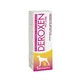 Teknofarma Deroxen Pet Line - Sanitizing Foam for Dogs and Cats, 100 ml
