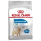 Royal Canin Light Weight Care Mini - Droogvoer voor honden, 1 kg