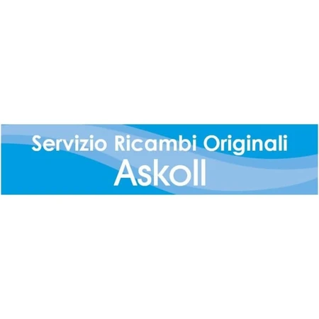 Imán giratorio Askoll: pieza de recambio para la bomba XL HC de 50 Hz