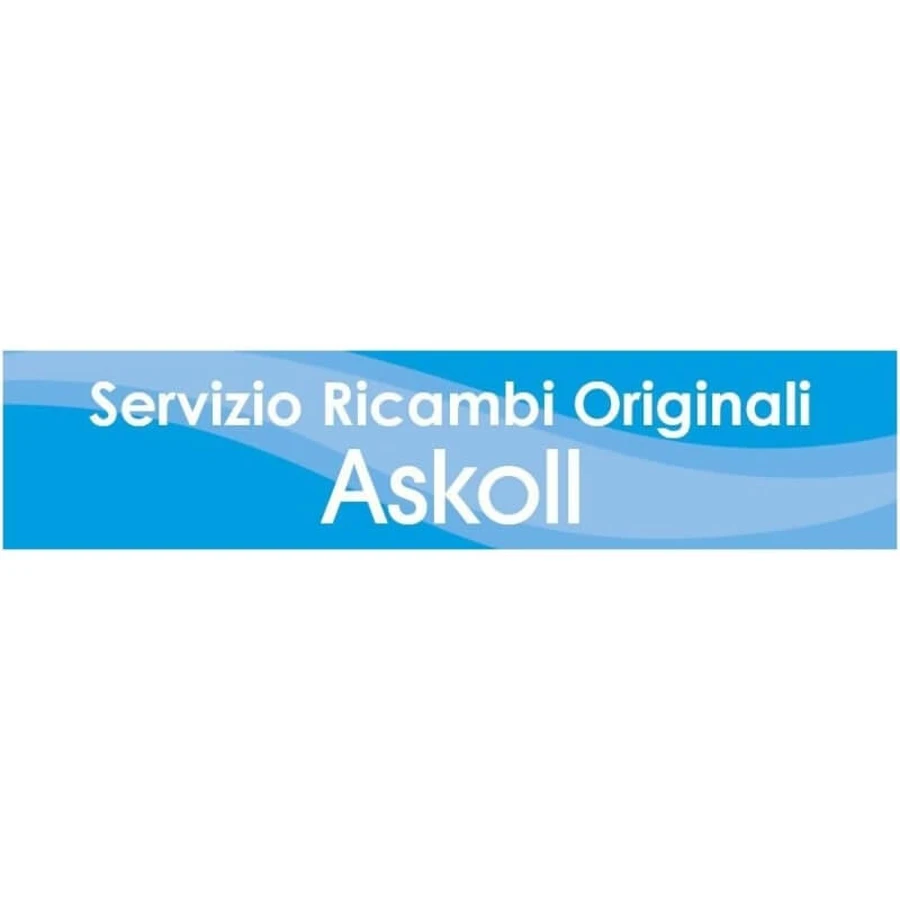 Imán giratorio Askoll: pieza de recambio para la bomba XL HC de 50 Hz