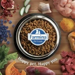 Farmina N&amp;d Pumpkin Puppy Medium &amp; Maxi con cordero - Pienso completo para cachorros, 2,5 kg